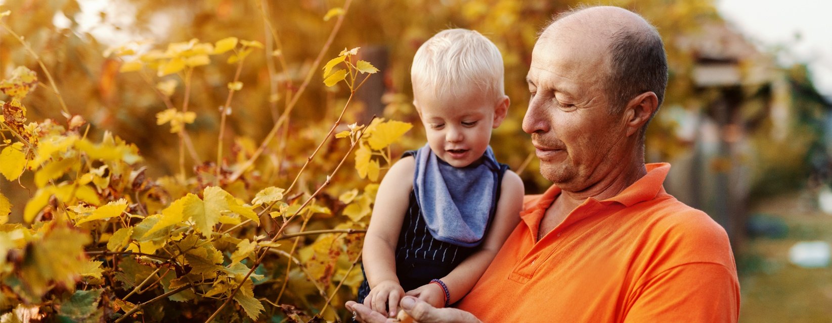 Grandfather and toddler outdoors