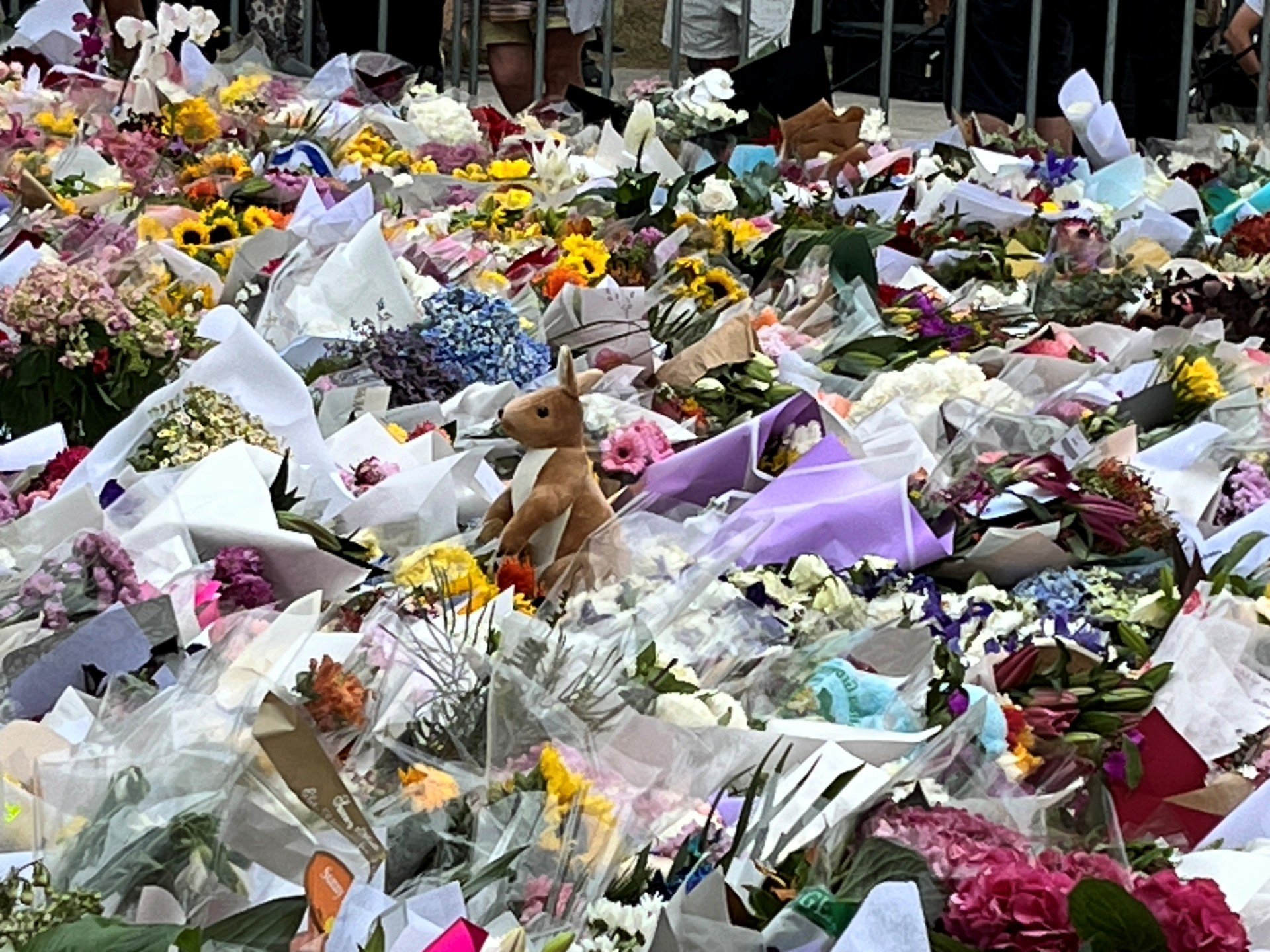 Give List: Bondi beach attack | Community & mental health support – Dec 2025