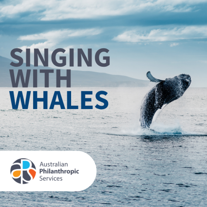 Learn more about whales