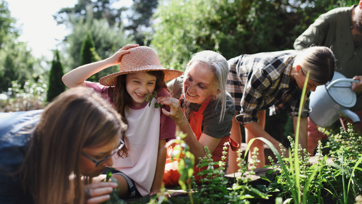 Community Giving: Empowering Local Charities