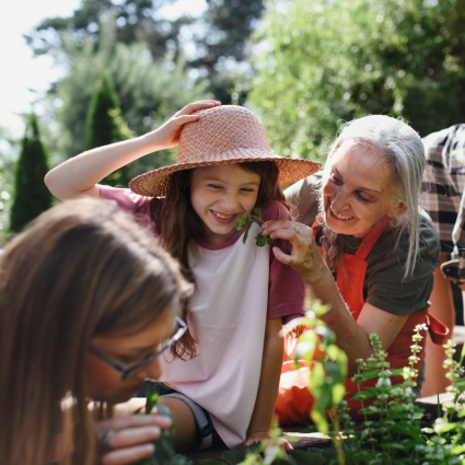 Give List: Collaborative giving